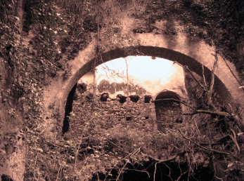 ruderi della cartiera Piccardo ruderi della cartiera Piccardo