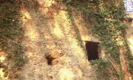 ruderi della cartiera Piccardo ruderi della cartiera Piccardo